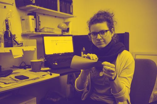 N&auml;chste Produktion