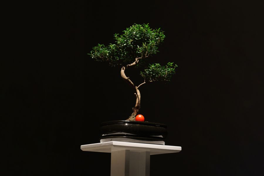 Wallgraben Theater Freiburg Die Laborantin 016