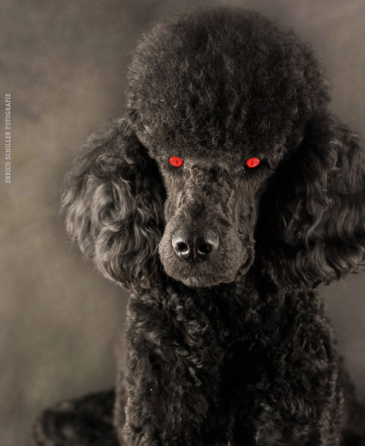 FAUST im Wallgraben Theater Freiburg