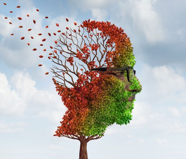  Wallgraben Theater Freiburg